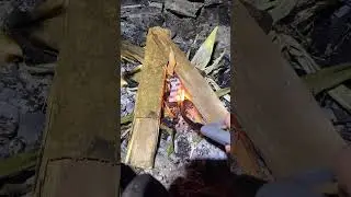 Peaceful solo camping trip in my Prius