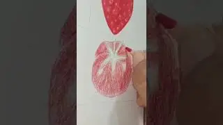 How to draw tomato 🍅 painting 🎨 easy art #shorts #shortvideo #painting #tomato #art #drawing