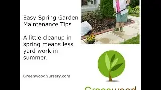 Easy Spring Garden Maintenance Tips