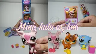 MİNİŞ KUTU A&Ccedil;ILIMI | LPS 🎁🎉