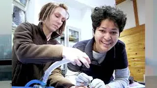 Dr. Kasturi Bhadsavle - India's top Veterinary Ophthalmologist | The Eye Vet