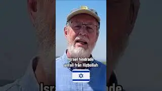Israel hindrade anfall fr&aring;n Libanon