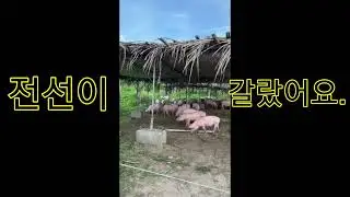#전선#reels#reelvideo#shorts #content #fishing #funnyclips #funnyvideos #high