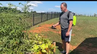 &ldquo;Sylsmart Electric Sprayer Review &ndash; Yard Work Simplified&rdquo; #ad