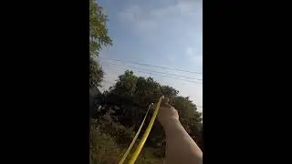 Slingshot Hunting Bird Is Famous In My Region  #hunting  #slingshot