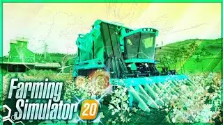 Selling cotton on a grate demand  in fs20🤑 cotton ke high price pe kitne rupaye doller milte hai?