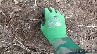 Knoflíky,i mincička, přeslen,hezké signály. (Vanquish 440) metal detector.