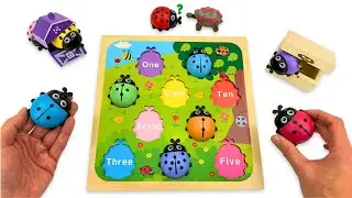 Learn Colors, Numbers & Count Ladybugs 🐞🌈 | Count 1 to 10 | Preschool Toddler Learning Video