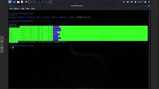 Kali Linux for Beginners Part 2: File Management & Permissions