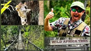 Wild Africa Trek at Animal Kingdom