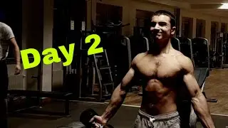 Day 2 - Inverted Cross Progression | CalisthenicsDude
