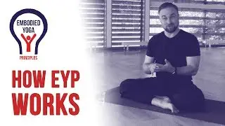 How embodied yoga principles (EYP) works