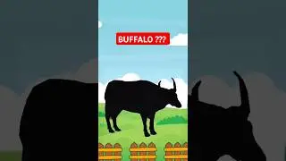 Guess the picture of the animal, zebra, cow or buffalo? #animals #animalshorts #animal
