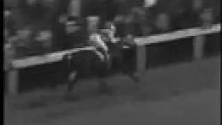 Seabiscuit vs. War Admiral...