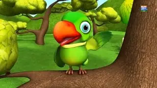 Mai Tota, Mai Tota &ndash; Dekho Kya Bolta Hai! 🦜 | Kids Channel Pakistan U