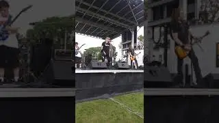 David Dougherty Tongue & Groove