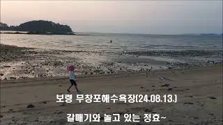 보령 무창포해수욕장(보령비체팰리스) (24.8.13)