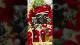 mero Pyro prandhan 🙏 #merovrindavan #merothakur #love #trending #viral #krishnabhkta