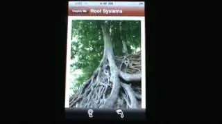 Need Inspiration? Ask Nature. Inspired Natural Wisdom and Audio Affirmations Iphone and Ipad App