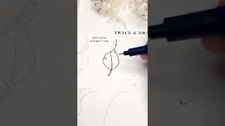A Simple Curly Leaf to add to your Flower Drawings 🍃
