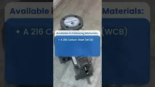 Leading Manufacturer of Air-Cooled thermic Fluid Hot Oil Pump in India
