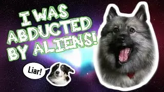 I WAS ABDUCTED BY ALIENS! | UFO SIGHTING CAUGHT ON CAMERA