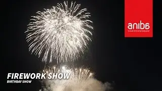 Birthday Fireworks Show