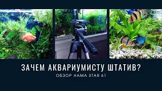 Анбоксинг , обзор  Штатива    #Hama Star 61.