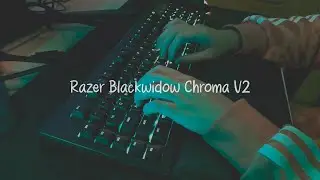 ASMR Razer Blackwidow Chroma V2 Keyboard | Clicky Green Switch (no talking)