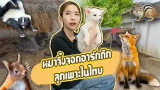 บุกบ้านน้องเตย FATCAT EXOTIC รอบนี้มีแต่ตัวแรร์