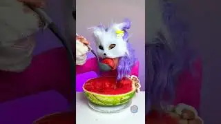 Curious Cats and Watermelon: A Tasty Adventure! 🍉😺