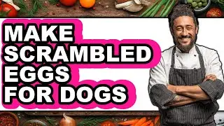 How To Make Scrambled Eggs For Dogs (Easy Method)