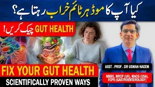 Fix Your Gut Health Fast: Scientifically Proven Ways to Improve Mood & Digestion