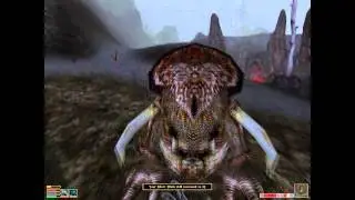Difym Plays Morrowind Ep. 14: Punabi and Sulipund Errands