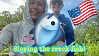 Slaying the creek fish, with beetle spins!