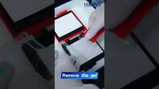 Lab vlogs: Western blot sandwich assembly with new clamp #shorts #fyp #westernblot