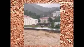 Heavy rains in the Arhavi district of Artvin yesterday caused floods and landslides, Turkey