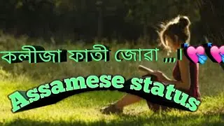 Assamese what'sApp status 💘hidoi bhagi juwa,,,/Assam Pk blogger