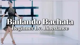 Bailando Bachata Linedance(Beginner)/Ira Weisburd & Raymond Sarlemijn