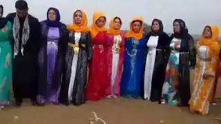 ŞeyhanLı Aşiret Düğünü Yok Böyle Düğün PART 2