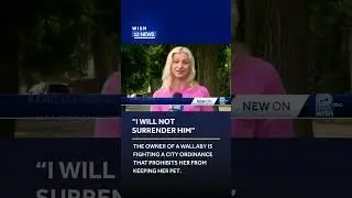 Pet Wallabt Controversy