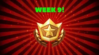 WEEK 9 FREE TIER LOCATION