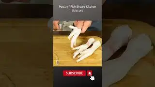 multifunctional cutting Kitchen Scissors