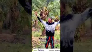 Palm crest backup farm is here. #trending #realestateinvesting #propertyinvestment #trendingvideos 