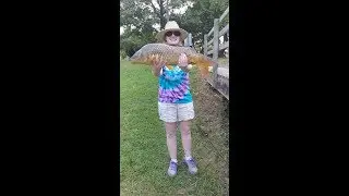 Trophy Catfish and Carp Fishing In Delaware