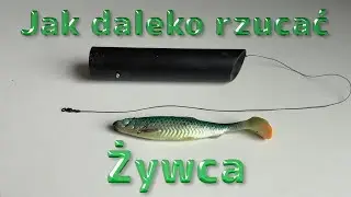 Podajnik do dalekiego rzucania żywą rybką