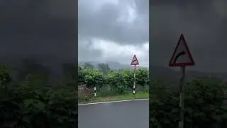 #munnar #kerala #godsowncountry #viral #trending #viralvideo #viralshorts #shortvideo