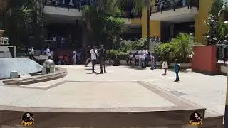 Slay The Vote Freestyle