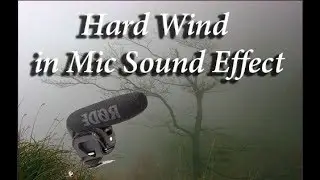 Hard Wind in Mic Sound Effect