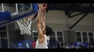 Nestor Daboin &ndash; NCAA D-3, Sophomore Season Highlights